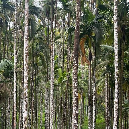 Villa Max Farms Shimoga Esterno foto